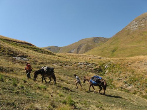 trekking con i muli-189.jpg